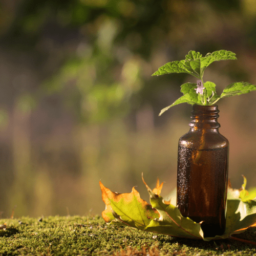 Read more about the article Hormones and Urinary Tract